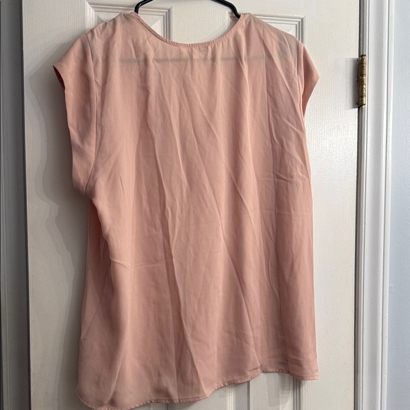 DR2 Blush Lace V-Neck Blouse - Picture 3 of 3